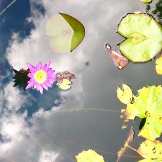 Web3 Alignment: Workshops and Copywriting